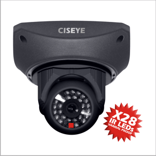 CISEYE Indoor IR IP Dome Camera || CIP-700